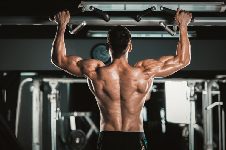 useful back exercises